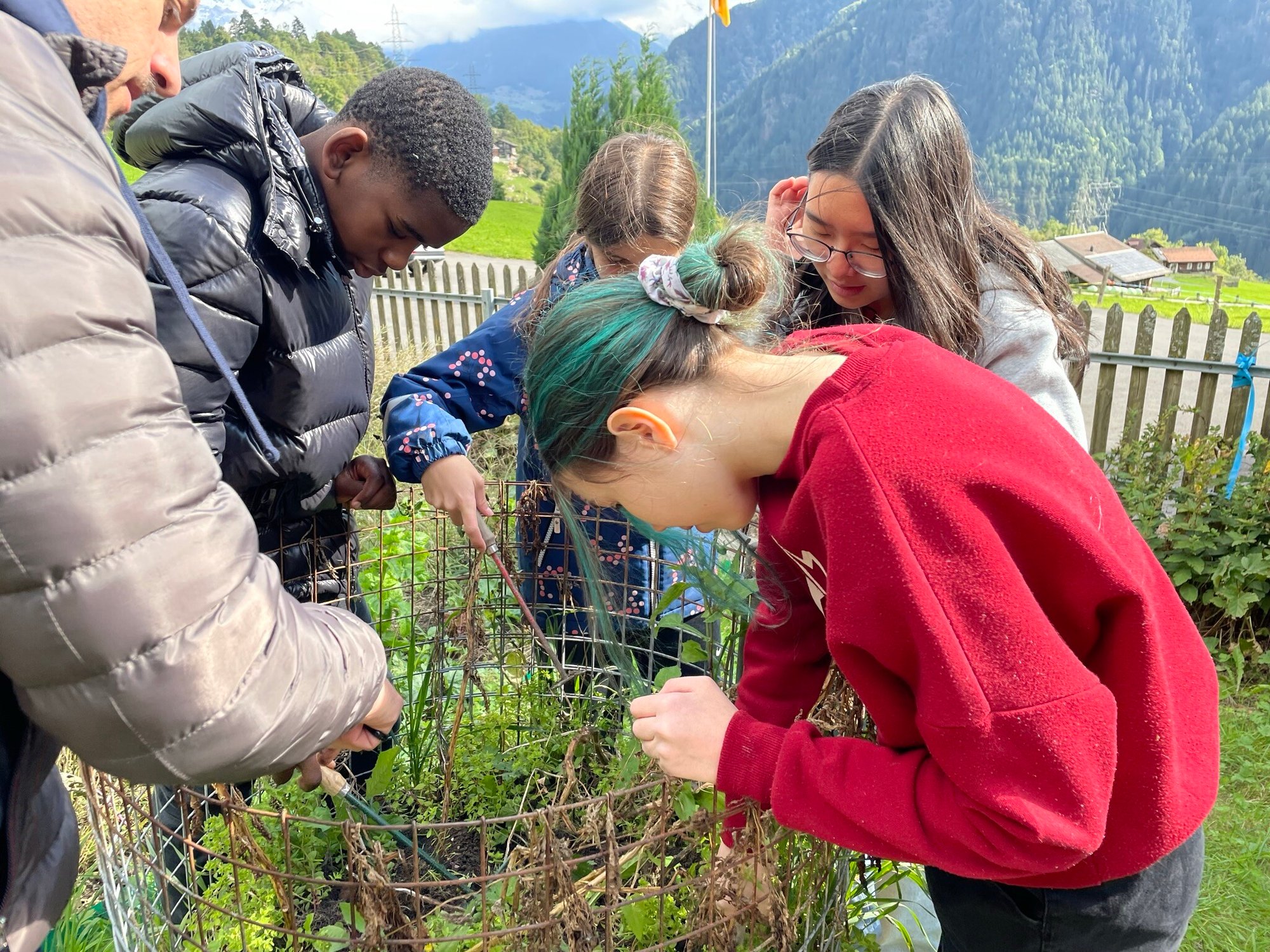 A group of students on a farm-like field studying a plant.