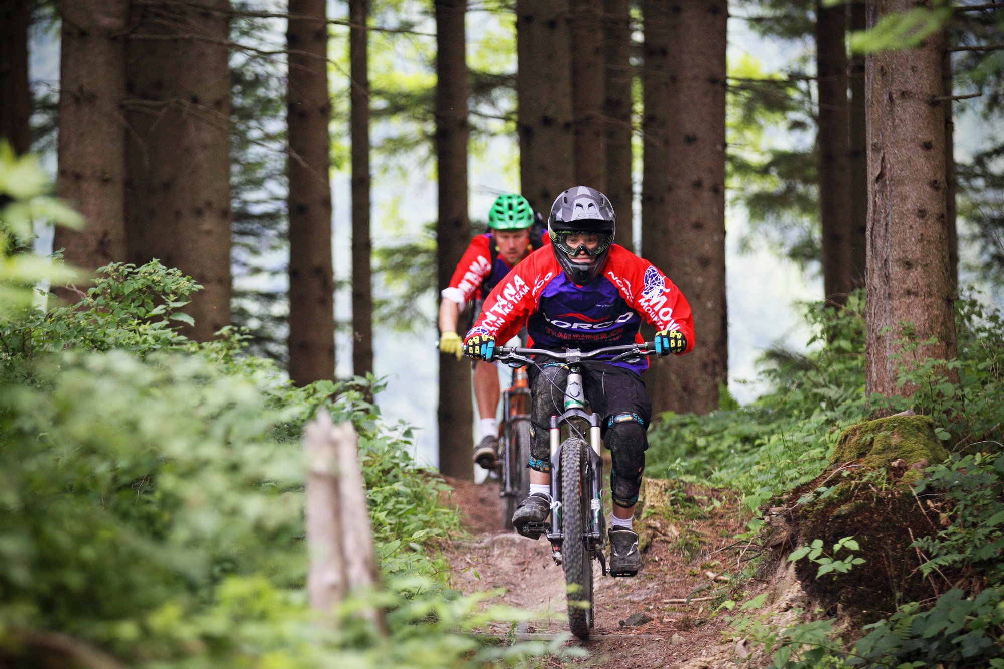 Jungen fahren Mountainbike in einem Wald.