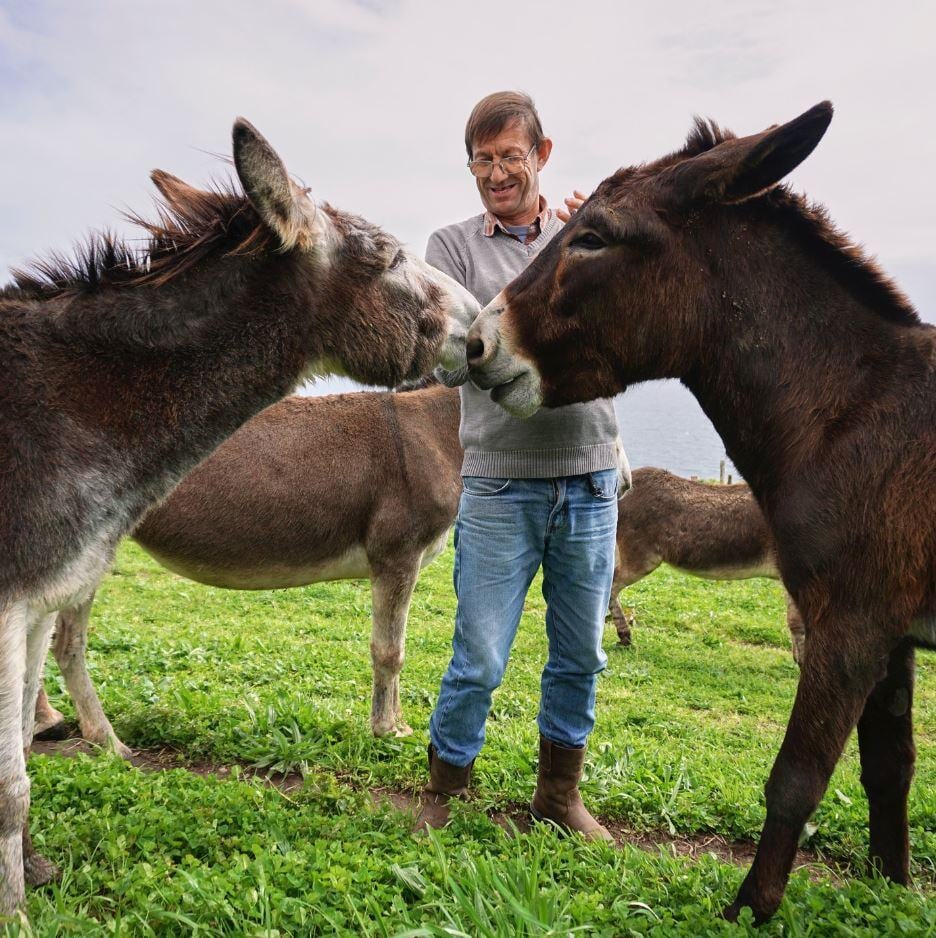 maturaarbeit-emma-donkey-rescue-center