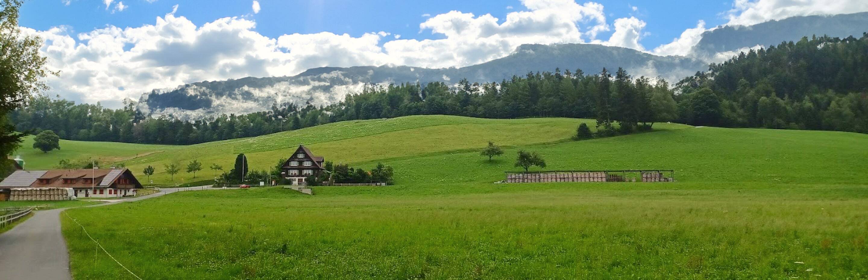 A view of the nature around Institut Montana Campus.